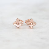 Mini hydrangea earrings in rose gold