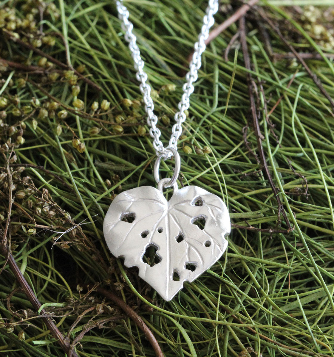 Nature of Aotearoa collection