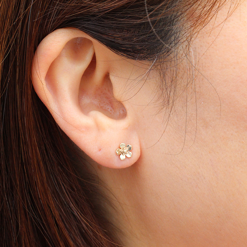 Small gold forget me not flower earrings
