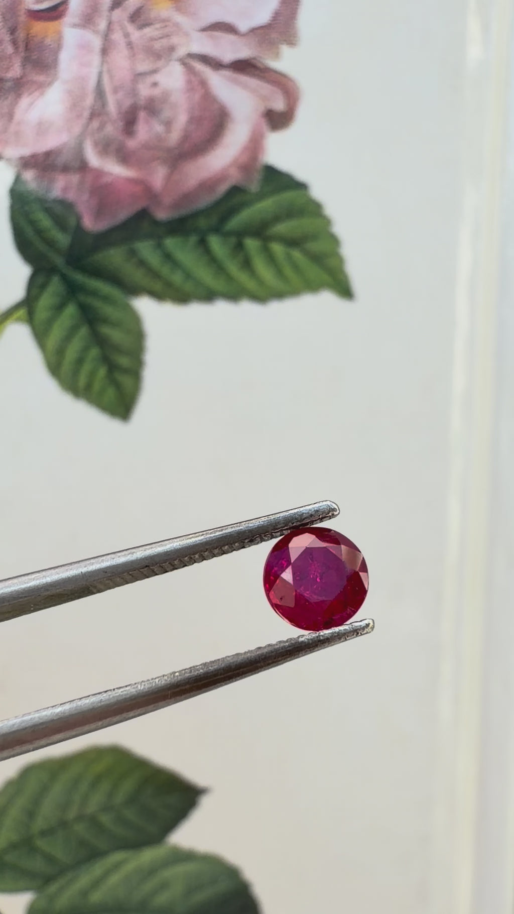 Vivid ruby 5mm round