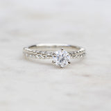 Silver fern dew ring in white gold