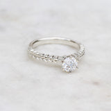 Diamond silver fern white gold ring