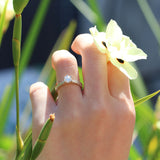 Silver fern dew ring in white gold